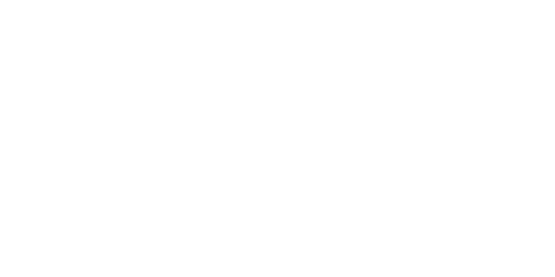 AV Securities